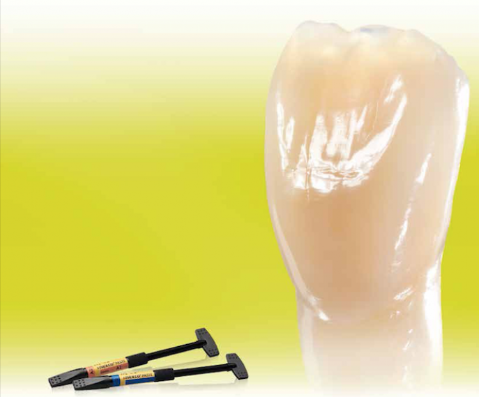 SR NEXCO | PASTE INCISAL